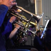 Dsc 4237 ijfr 1