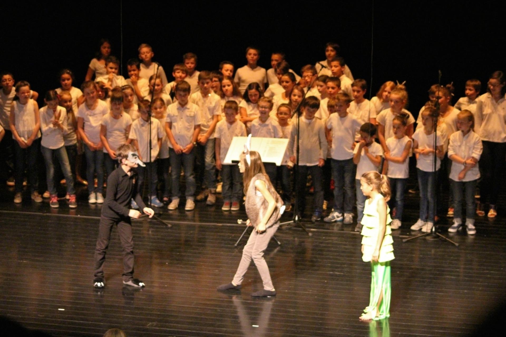 Img 737